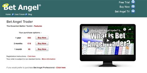 bet angel sign in.